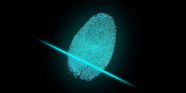 Flexible Fingerprint sensors in smartphones
